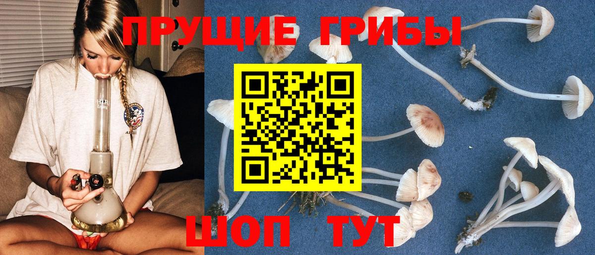 Псилоцибиновые грибы мицелий  Вход с VPN  Строитель 